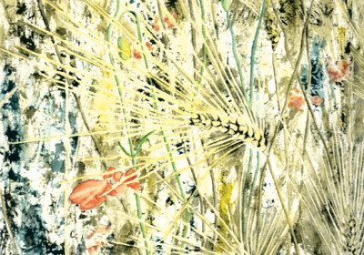 Intreccio tra papaveri e grano 24x36