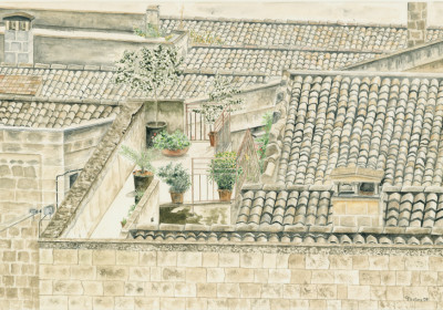 Sorprese dall'alto 36x24